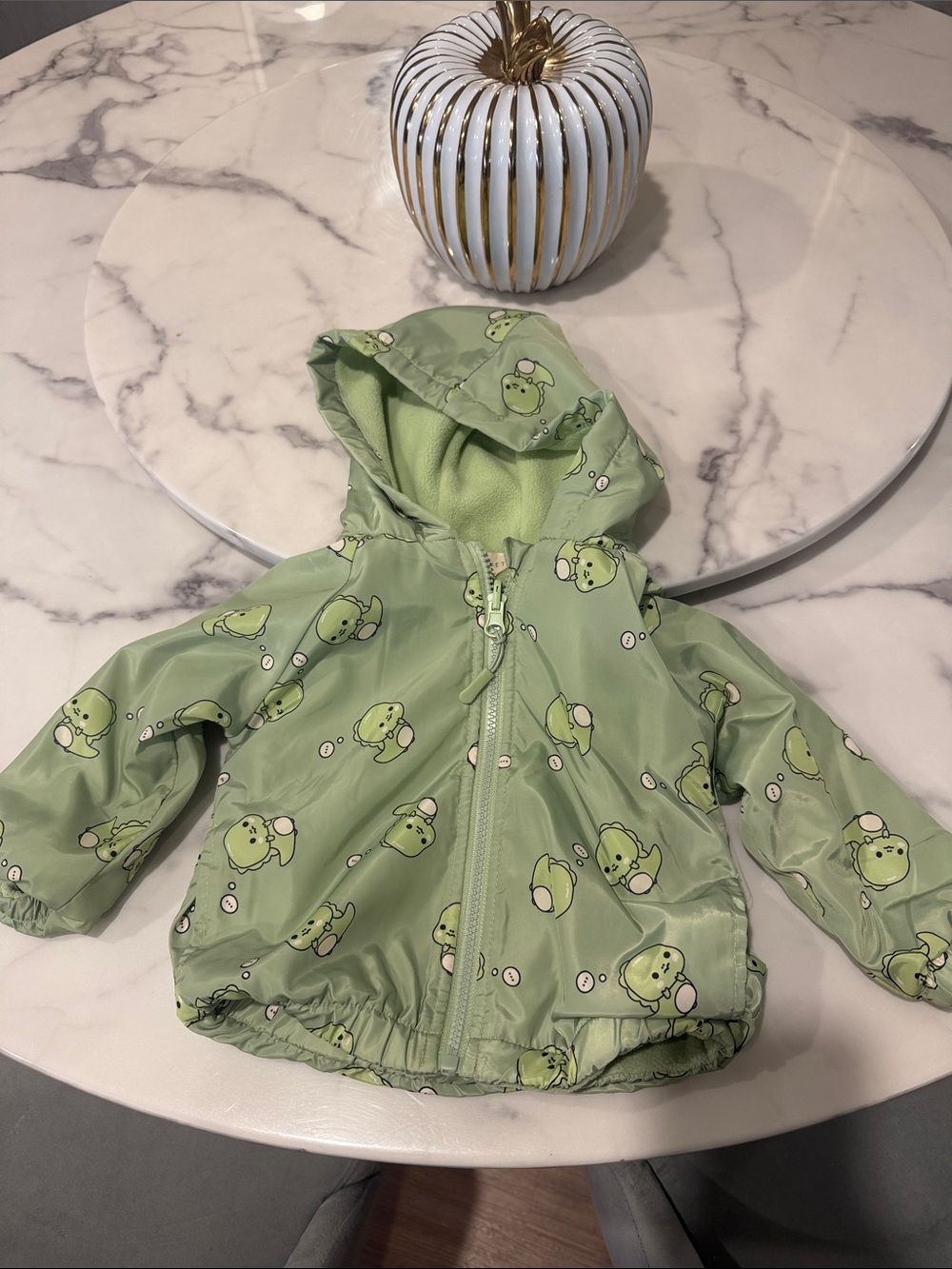 Kids Hooded Rain Jacket in Light Green with Frog Print